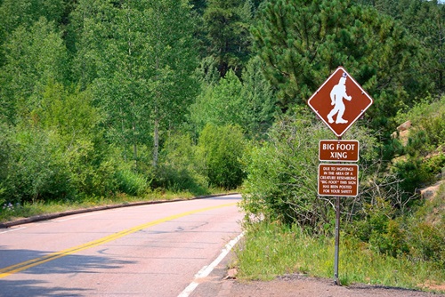 Bigfoot crossing