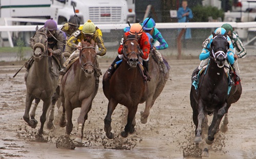 Synthetic tracks for horse racing