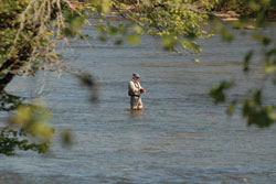 Fly fishing in the Chattahoochee River