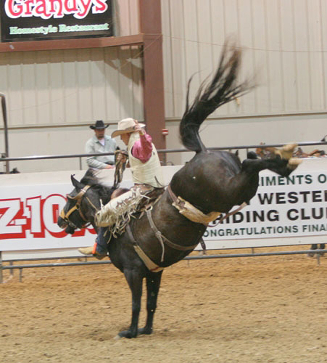 Rodeo Roundup Visit Mesquite, TX