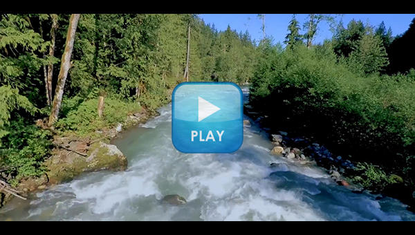 Play PNW Sports: Snohomish County, Washington