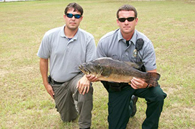 Cheating in Fishing Tournaments Spawns High-Tech Safeguards