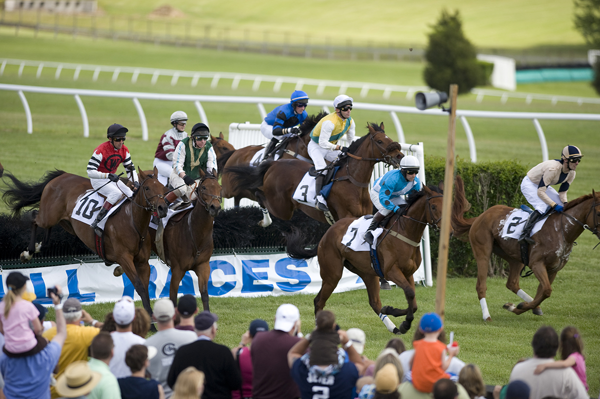 Varied and Victorious, Equestrian Sports are Riding High Sports