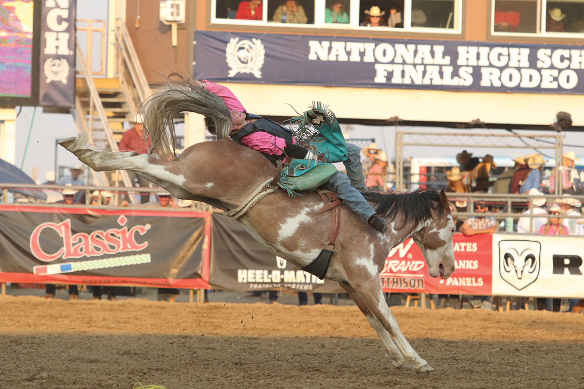 Bucking Convention: Rodeo Has New Grounds for Growth | Sports