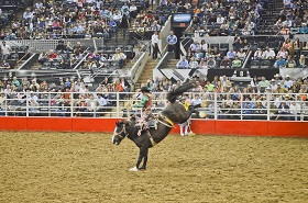 Rodeos Becoming the Cash Cow for Local Communities