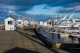 Thieves Targeting Tournament Boats