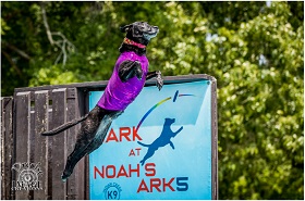 Inside Events: Dock Dogs®