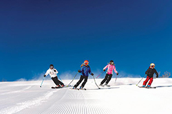 Winning Winter