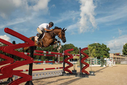 Stabling for Equine Events