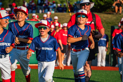 Ripken Baseball