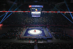 Need a New Home Plate, Home Base or Home Field? Here’s Where to Go