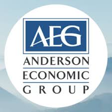 Anderson Economic Group