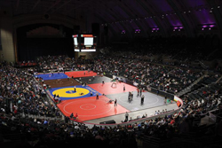 A-Bout Time: Destinations Go the Distance with Boxing, Wrestling and Martial Arts 