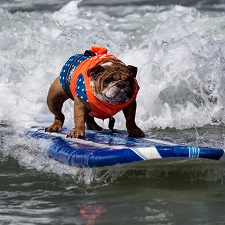 Instagram Photo of the Week