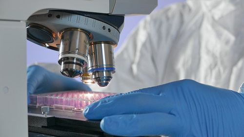 Waterparks and swimming pools