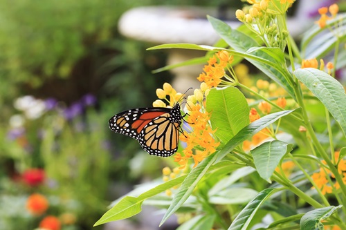 Photo © Marilyn Gould | Dreamstime.com