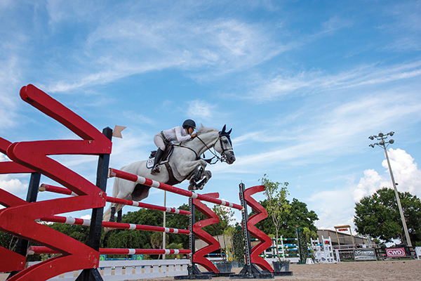 Sarasota, FL | Photo courtesy of Fox Lea Farm