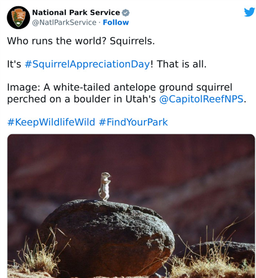 The National Park Service Social Media Accounts are Genius (and the Work of One Person)