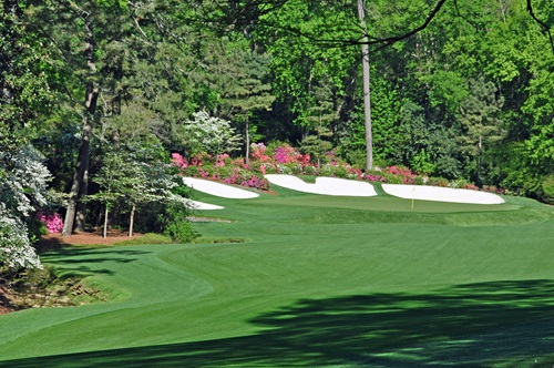 Azaleas at The Masters