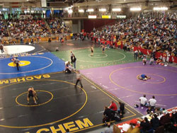 Photos courtesy of Section XI High School