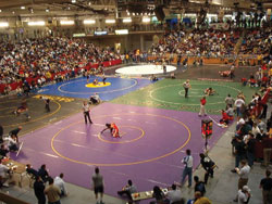 Photos courtesy of Section XI High School