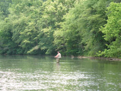 Fly fishing in the Chattahoochee River