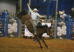 Photo courtesy of Mesquite Championship Rodeo