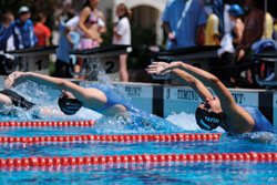 Competitors at the start of the backstroke competition. &copy; Peter Muzslay - Dreamstime.com