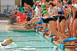 Team members ready to dive in for their lap during a swim meet relay competition in Cumming, Georgia (the Lake Forest Lightning vs. the Long Lake Marlins). &copy; Susan Leggett - Dreamstime.com