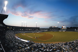 Catch a game at The Dell Diamond