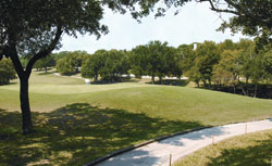 Tee it up at Forest Creek Golf Club