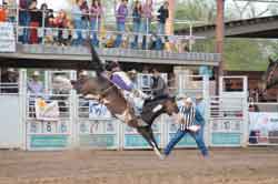 Photo courtesy of Siri Stevens, Rodeo News