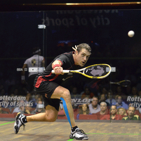 David Palmer playing with Black Knight racquet image