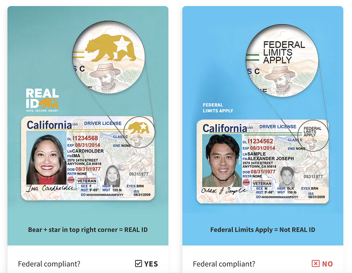 Which driver's licenses are Real ID compliant 