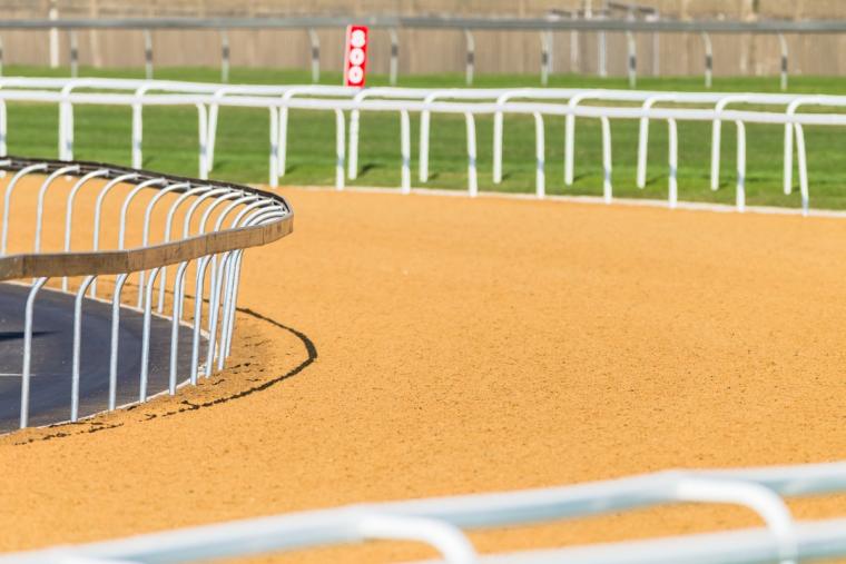 Can Safety Data Make 2024 the Year for Synthetic Surfaces in Horse Racing?