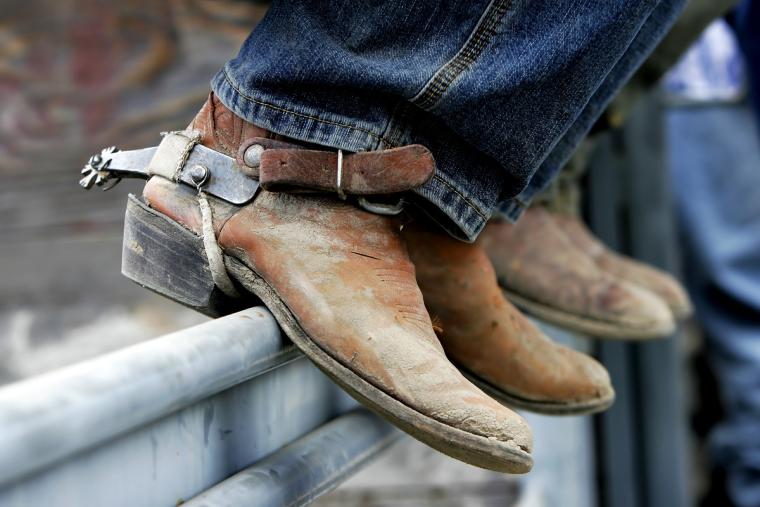 Abilene to Host the Texas Longhorn Breeders Association of America World Expo