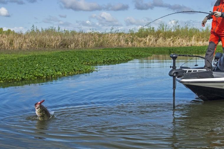 Anglers will need more than history to excel in Bassmaster Elite at Champlain