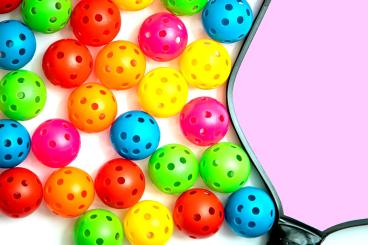 This marks a significant stride in Pickleball Kingdom’s ambitious plan to establish 20 premier indoor pickleball facilities throughout the state.