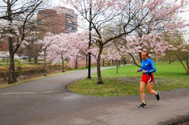 Registration for the Credit Union Cherry Blossom (CUCB) 5K presented by ASICS is now open to the public at www.cherryblossom.org. 