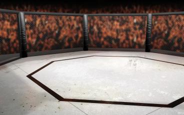 MMA at UBS Arena MMA at UBS Arena