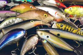 Lures for fishing for bass