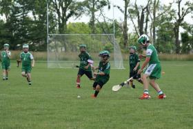 Hurling and camogie in Valley Forge