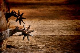 rodeo is coming to the rockies