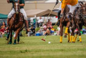 Polo in Colorado