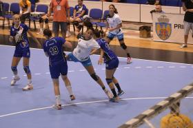 Women's handball in Greater Lansing
