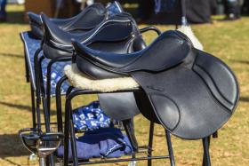 Equestrian Sports Coming to Texas