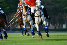 The Date for the 2023 LEXUS International Gay Polo Tournament Presented by Douglas Elliman is Set for April 6-9th