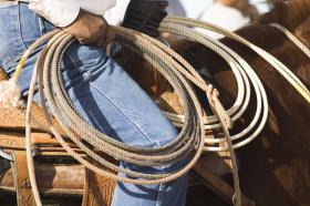 Team Roping Payout