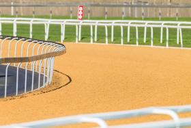 Can Safety Data Make 2024 the Year for Synthetic Surfaces in Horse Racing?