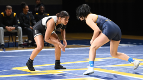 It did not escape anyone's notice that the news, trumpeting women's wrestling as the next NCAA championship sport, landed on National Girls and Women in Sports Day.